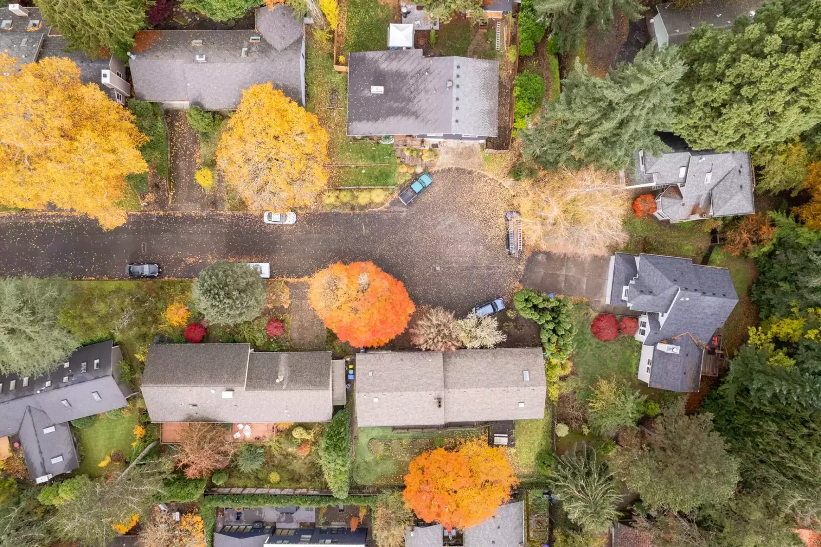 Our team is enthusiastic about ensuring our guests have great stays. Please reach out and we will happily provide local recommendations of all sorts!