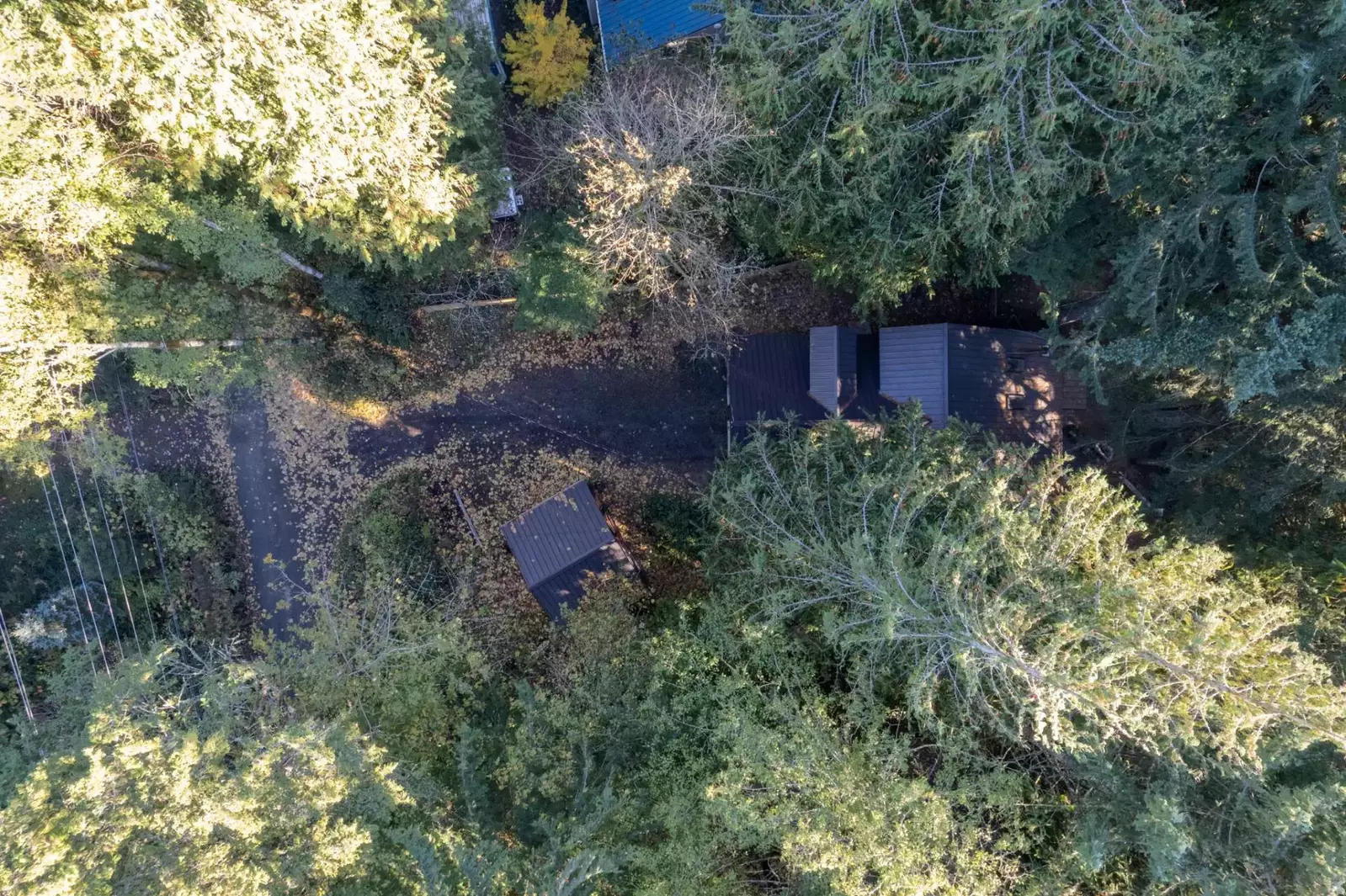 "We hit up a waterfall hike and road bikes. The thick forest of mt hood national forest was beautiful." - Todd