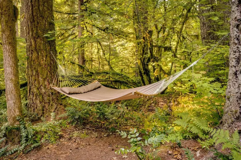 Relax in the hammock after a day of hiking and exploring.