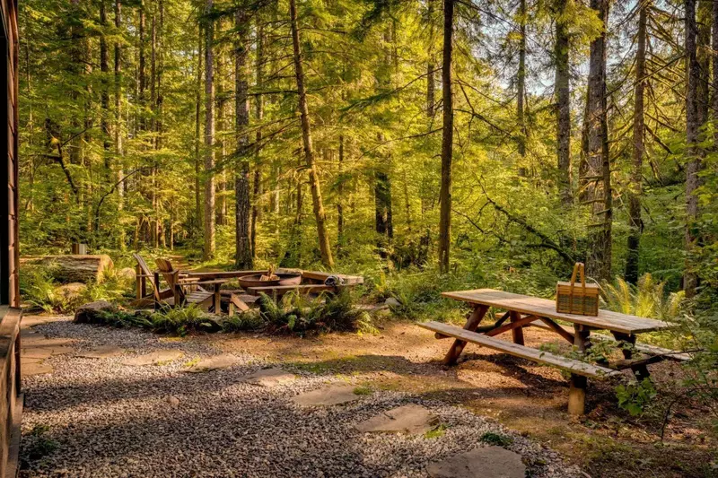The bench and fire pit are excellent spots to bask in the beauty of the forest.