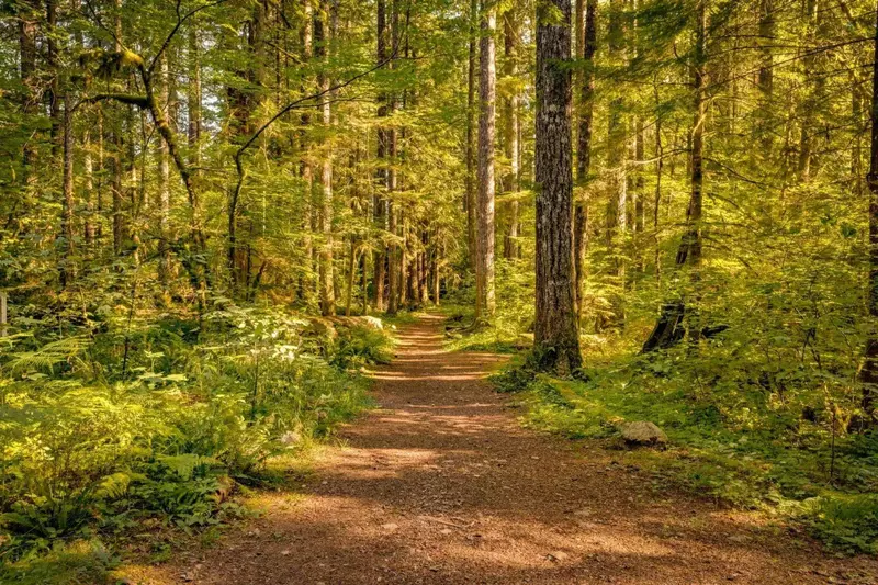 Mount Hood is a great to visit in the summer. Visit and enjoy lakes, hikes, waterfalls, and more!