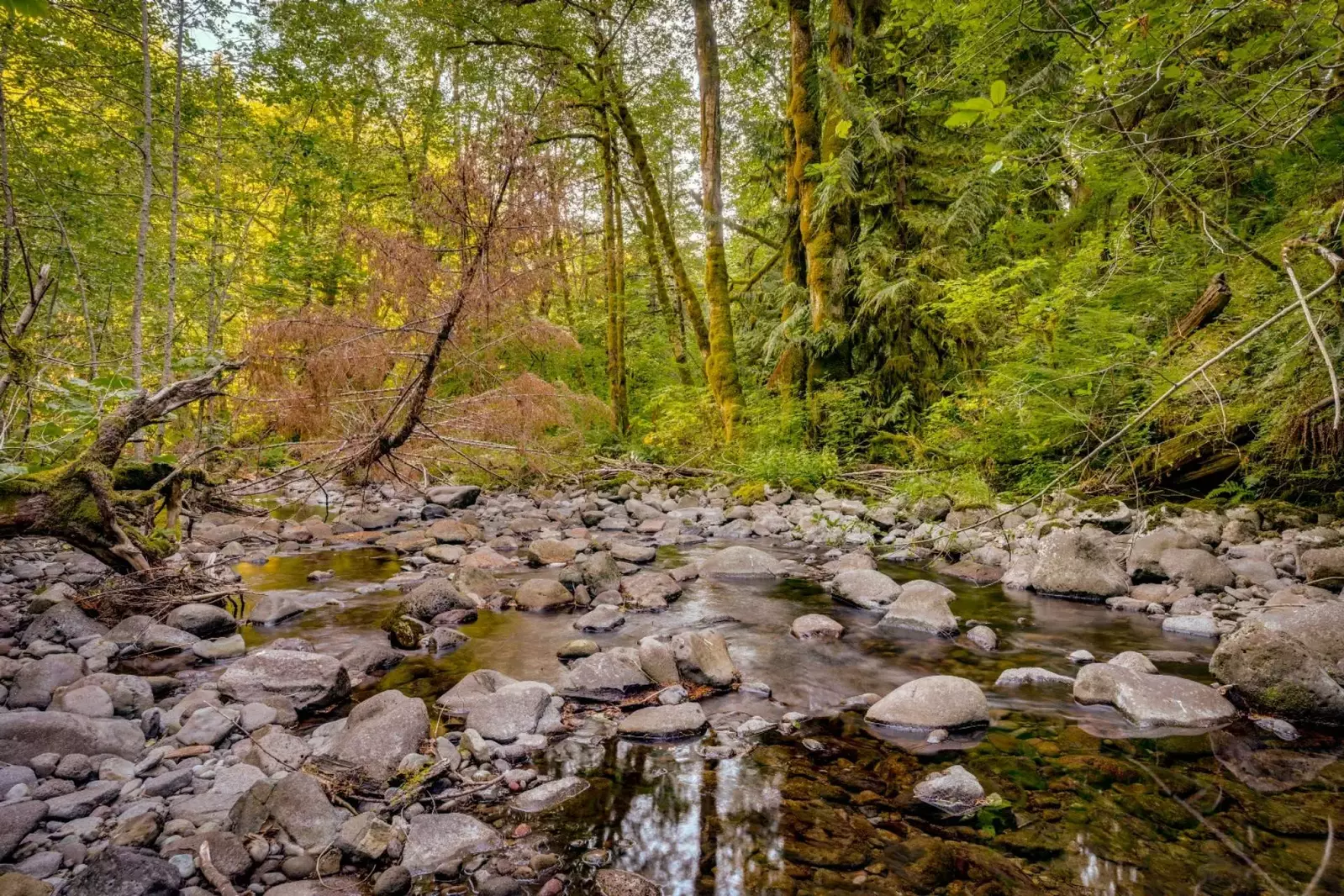 "We absolutely adored staying at this lovely place in the woods! Can’t wait to come back again soon" - Jessica