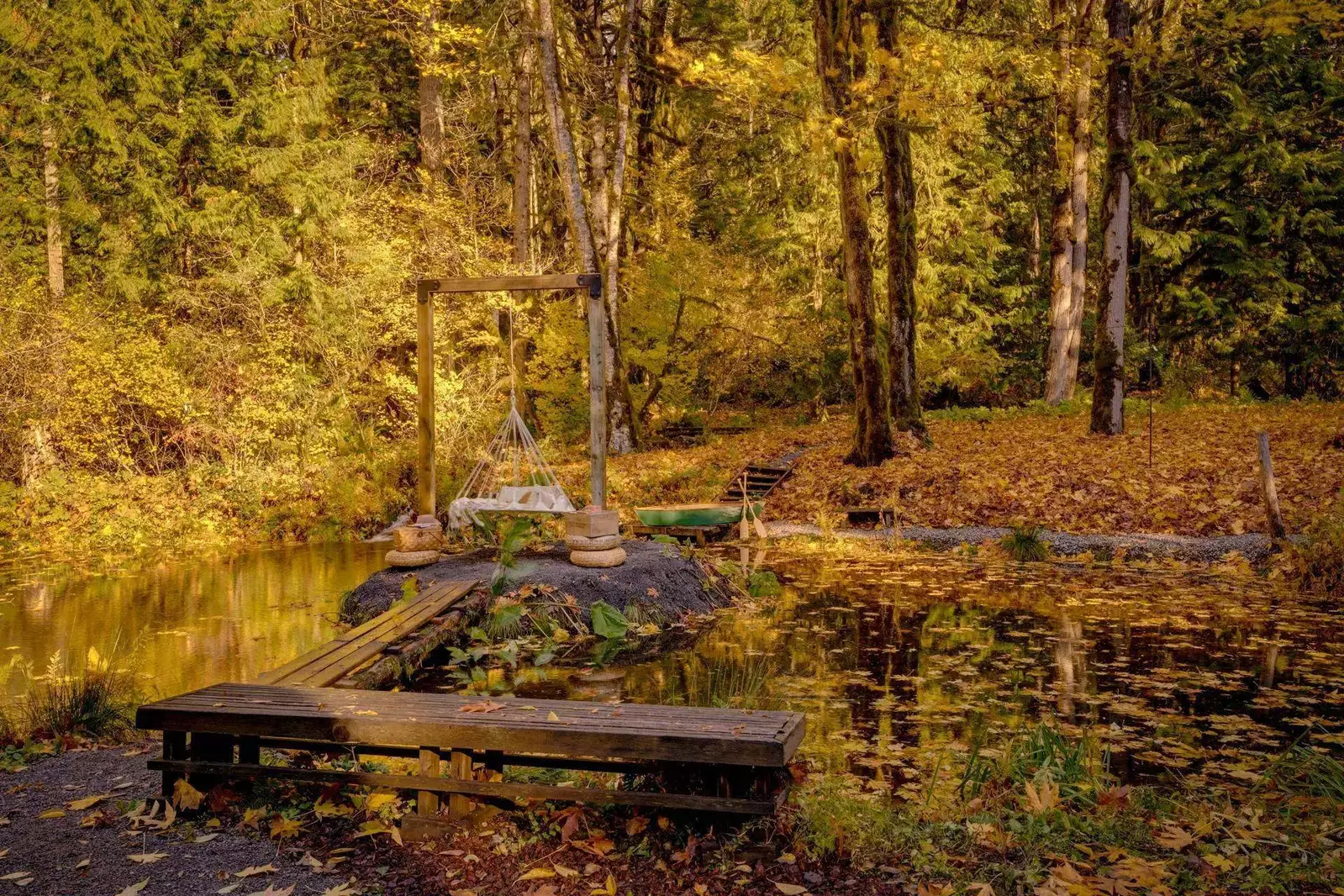 Sometimes fish and newts can be seen in the pond. Deer birds, and other animals have been known to come by as well. Truly a nature lover's dream!