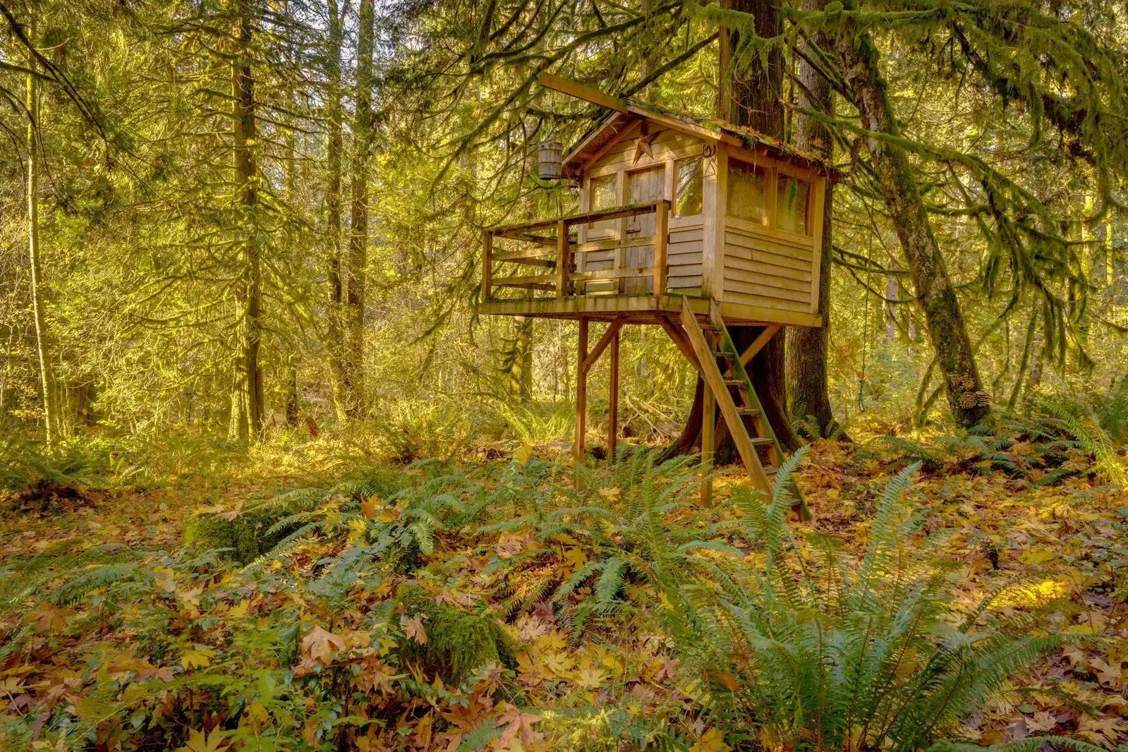 Our team is enthusiastic about ensuring our guests have great stays. Please reach out and we will happily provide local recommendations of all sorts!