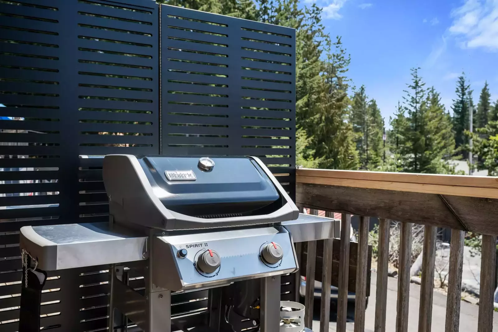 Grill up a wonderful feast on the BBQ.