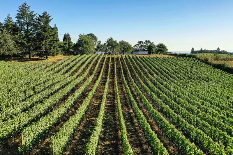 King's Queen is nestled deep in the farmland of the Willamette Valley.