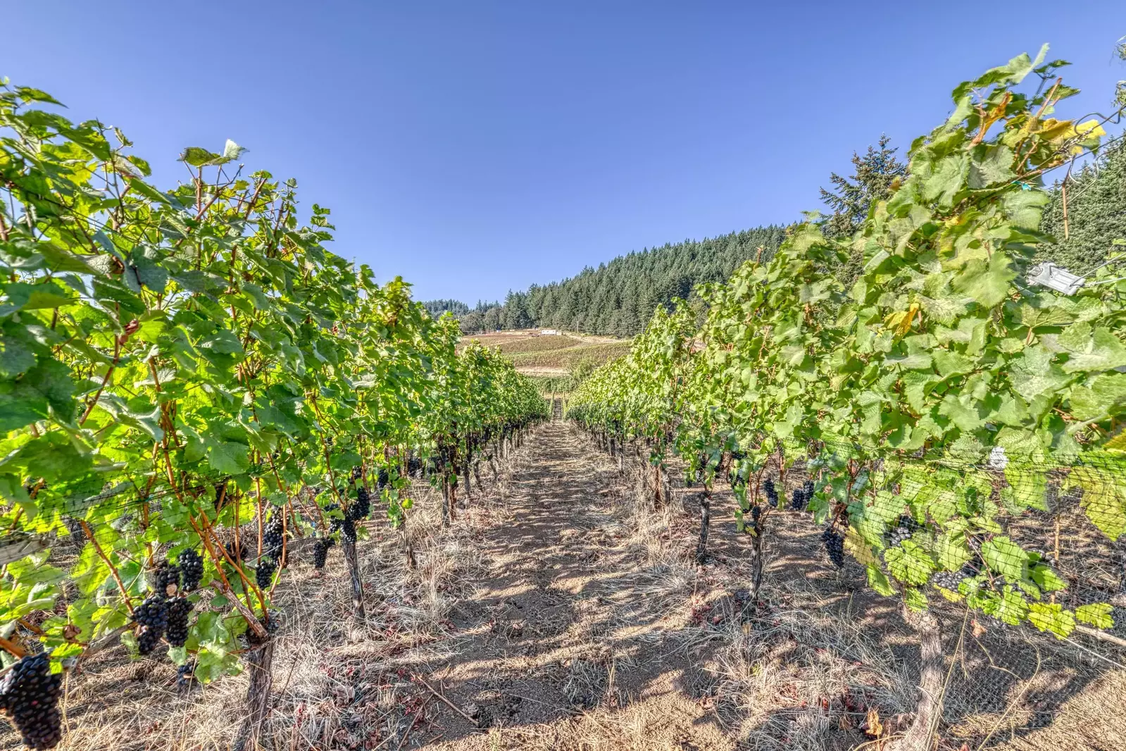 "Amazing property and views! We will be back soon." - Mark