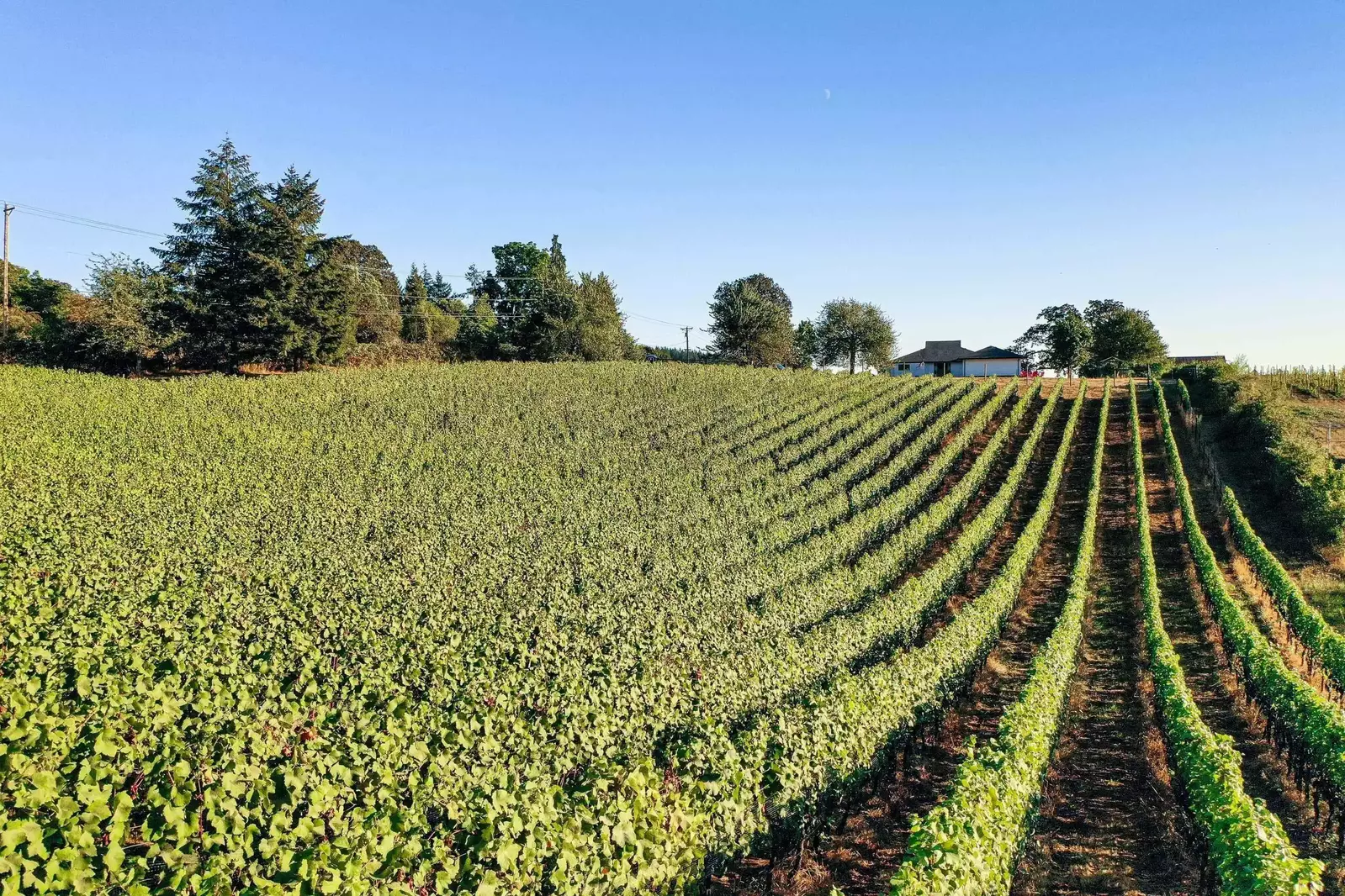 We hope we get to host you at this delightful property. Please reach out to us with any questions. We are happy to answer!