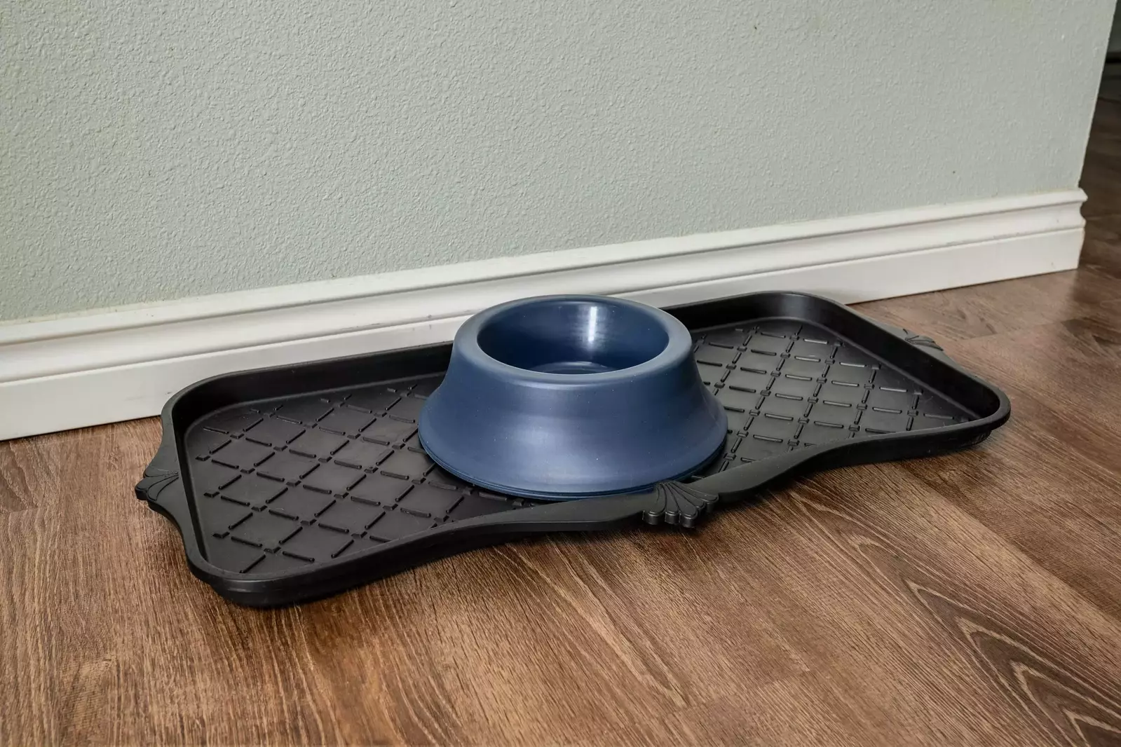 As a pet friendly rental we are happy to welcome your dogs!