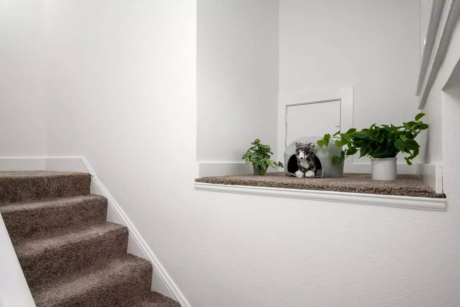 "Beautiful home with fancy touches that made it feel special!" - Sarah