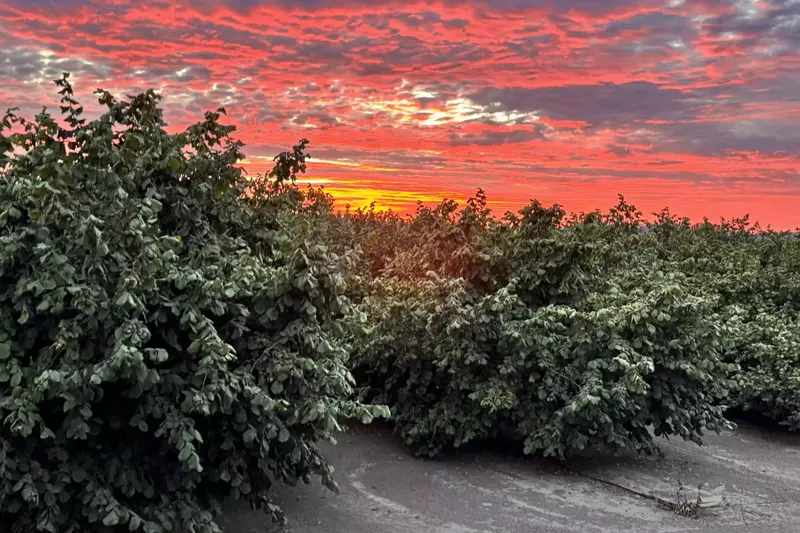 Where the sky stretches wide and worries shrink small—this patio view is everything.