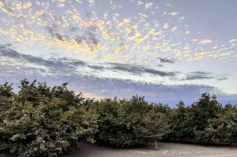 Sun-kissed mornings and starlit nights—this patio view turns every moment into a memory.