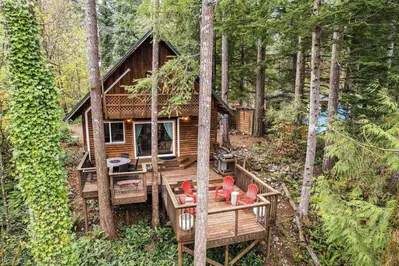 The forests around the Washougal River are lush and full of adventures!