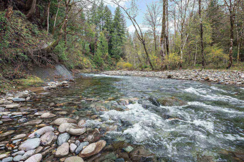 "We loved that you could hear the river from the bedroom, that sound and the very comfy king bed, we slept like babies." - Stephanie