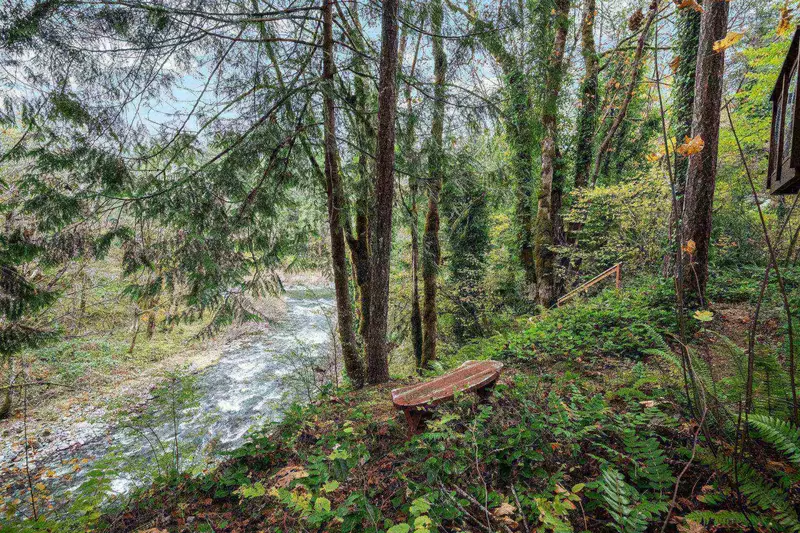 "We saw deer, plenty of hummingbirds, bald eagles, lots of different birds along the river bed." - Holly