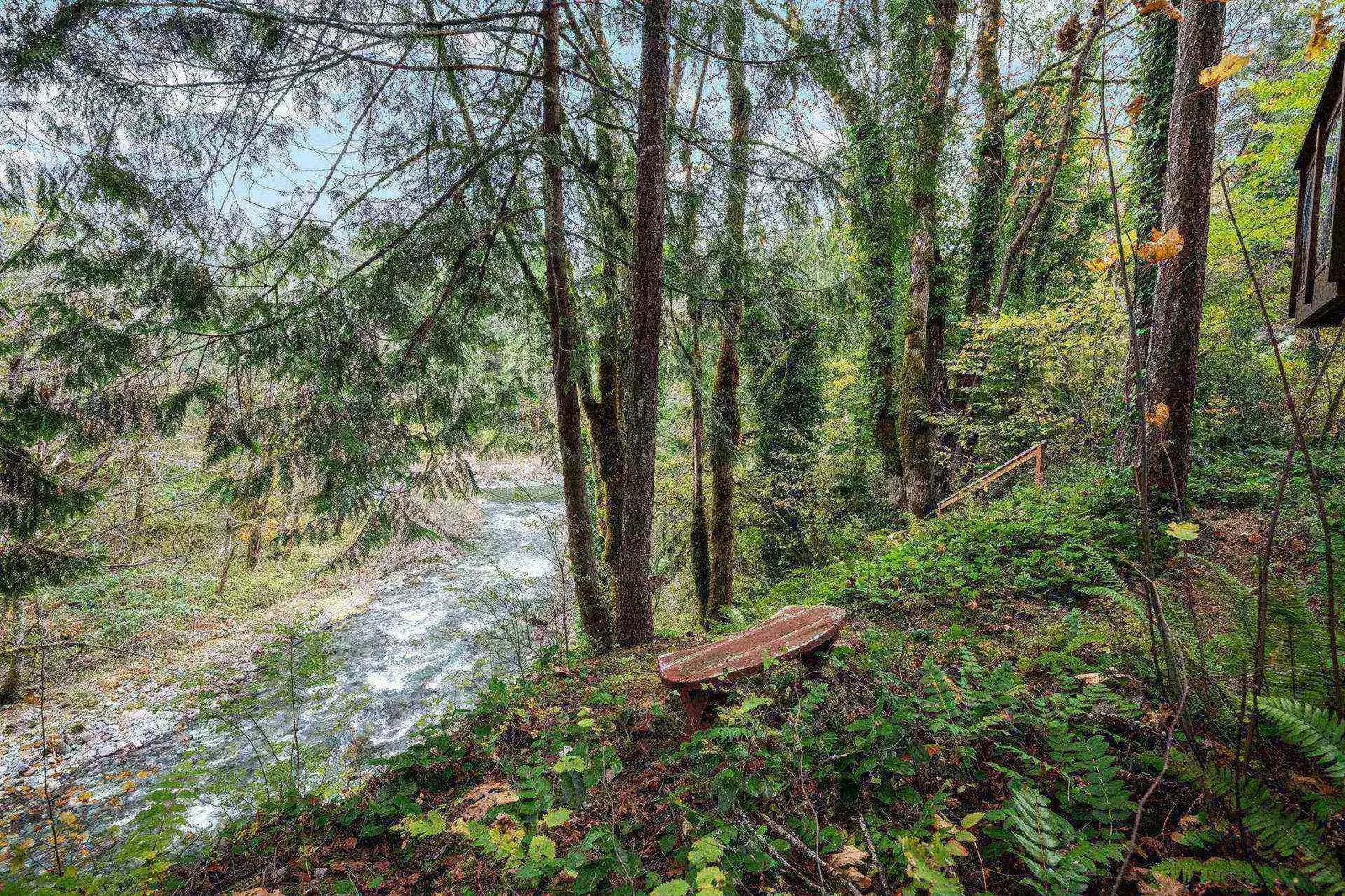 "We saw deer, plenty of hummingbirds, bald eagles, lots of different birds along the river bed." - Holly