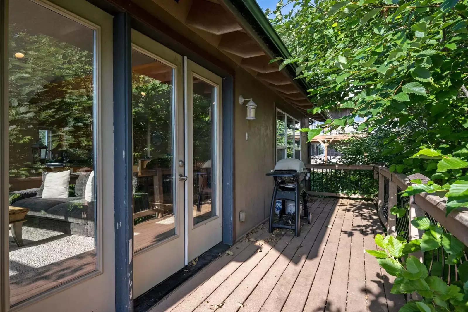 Grill up some seafood on the bbq. Collect fish and shellfish from a local market or have a fun outing catching dinner!