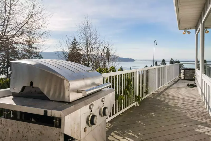 Grill up some seafood on the bbq. Collect fish and shellfish from a local market or have a fun outing catching dinner!