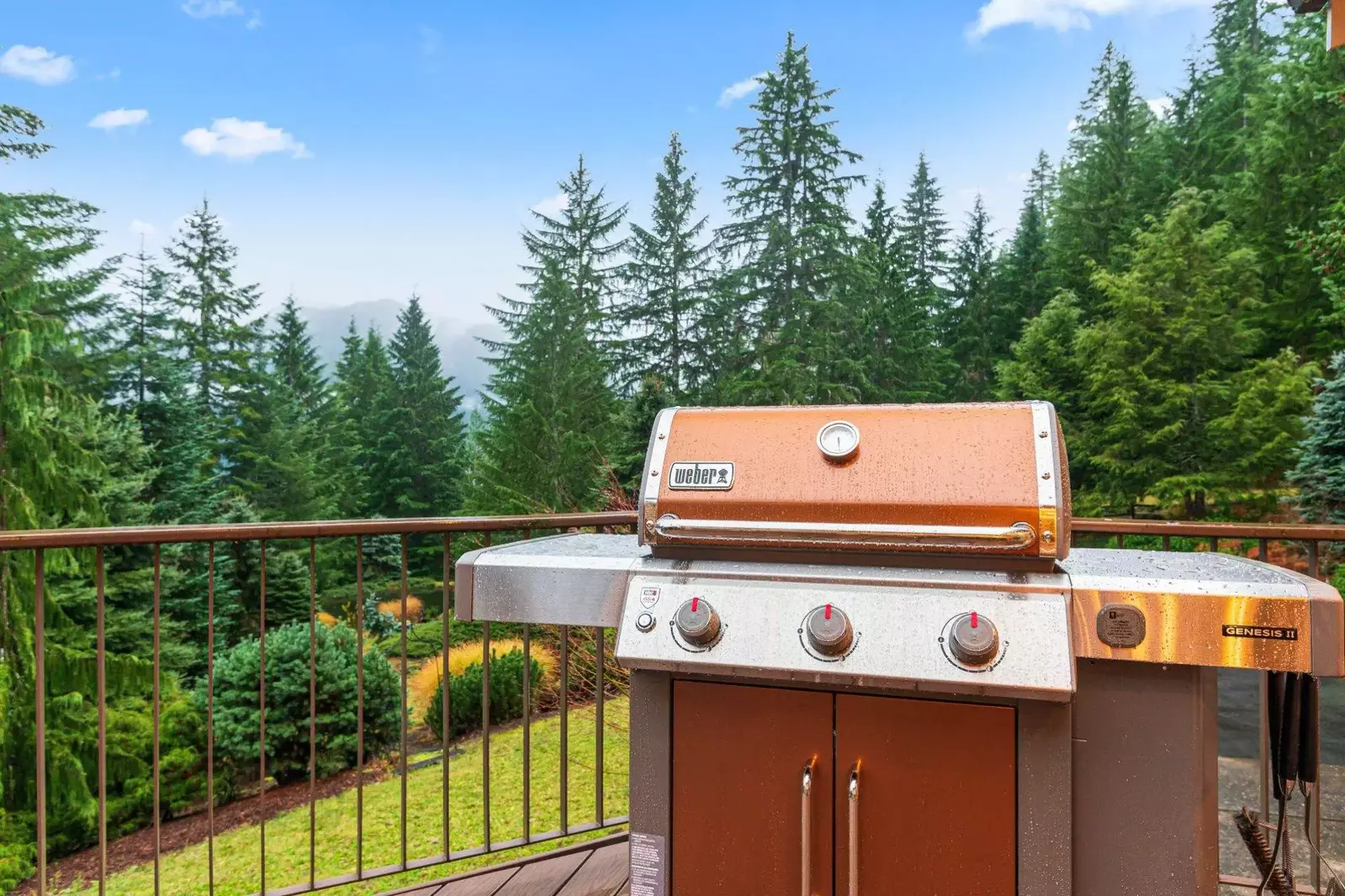 Grill up a wonderful feast on the BBQ.