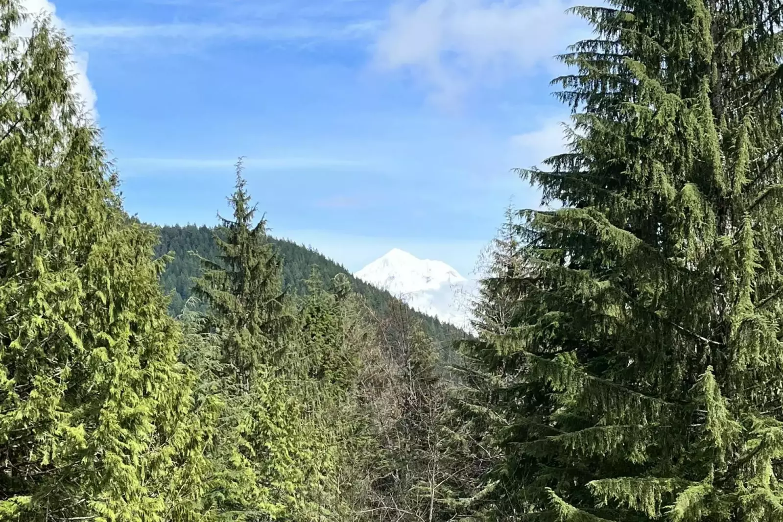 "We enjoyed the privacy of the 20 acres, the Mt. Hood views from the living room." - Drew S.