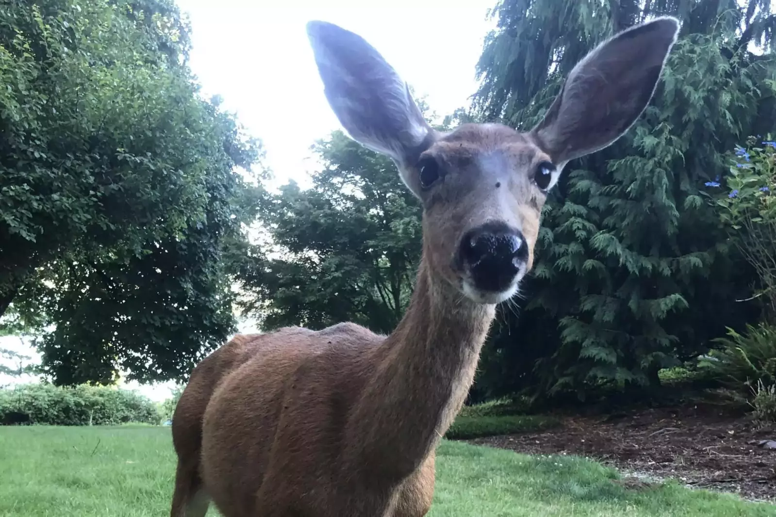 The wildlife here gets up close and personal.