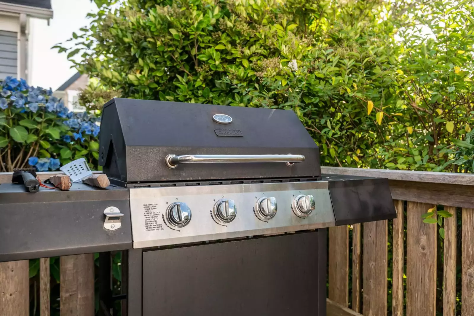 Grill up some seafood on the bbq. Collect fish and shellfish from a local market or have a fun outing catching dinner!