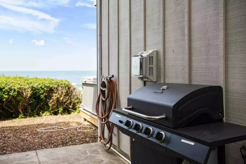 Grill up some seafood on the bbq. Collect fish and shellfish from a local market or have a fun outing catching dinner!