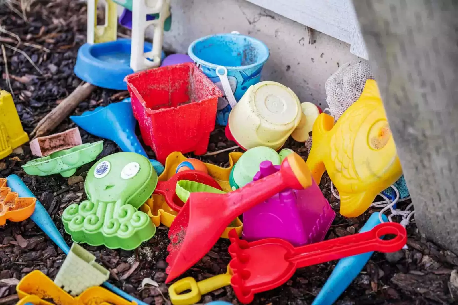 Beach toys available for kids and adults!