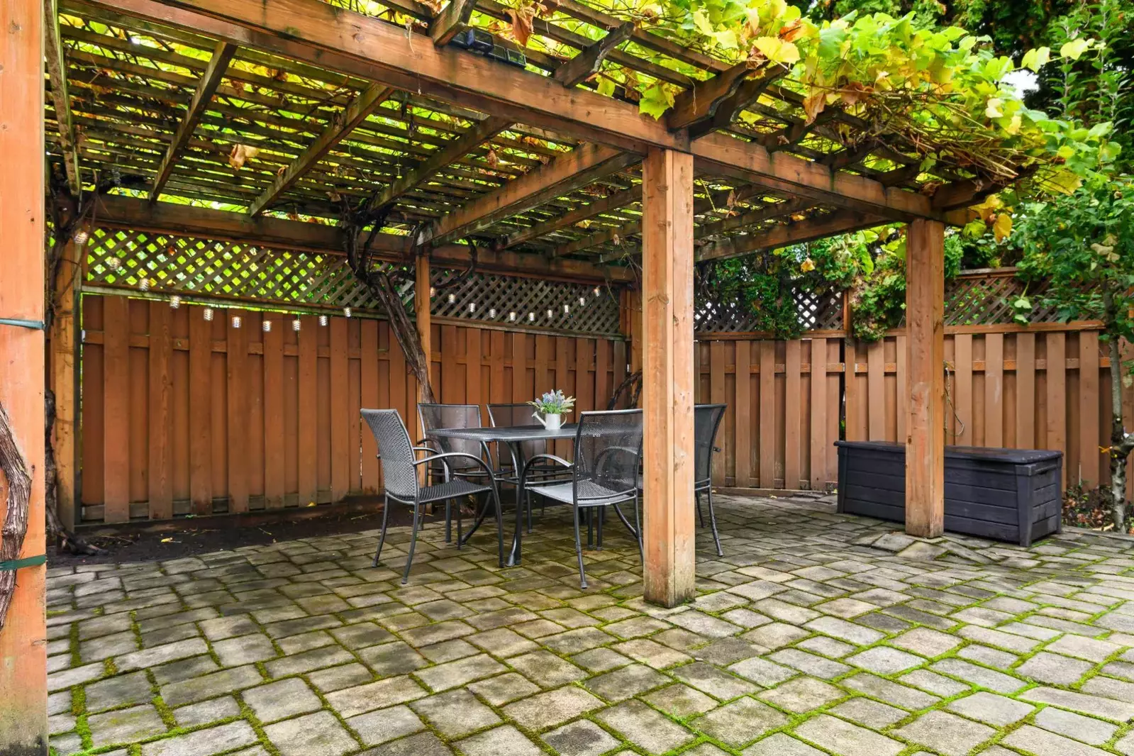 "The backyard with the outdoor dining area covered in grapevine was very cool." -Deepak