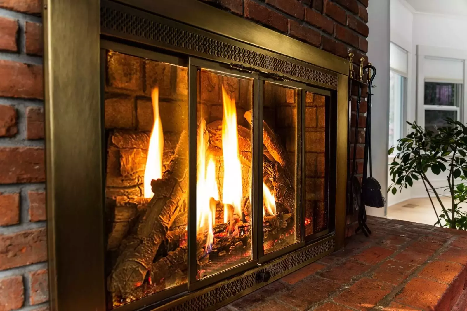 McMinnville offers abundant activities such as carriage rides, live music, stand up comedy, festivals, parades, karaoke, historic tours, and more!