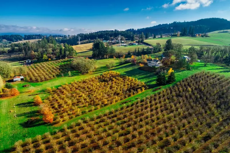This is a really beautiful property tucked about an hour outside of Portland, in the heart of Willamette wine country.  -Brandon