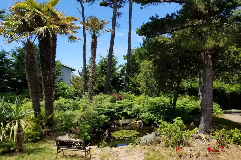 Wonderful private house, spacious yard and the beach is just a minute walk!  -Gabrielle