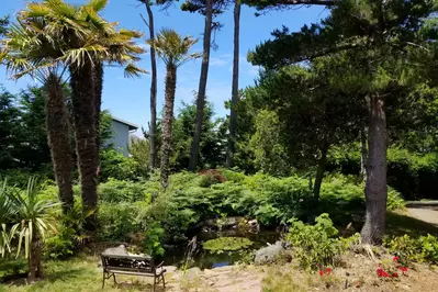 Wonderful private house, spacious yard and the beach is just a minute walk!  -Gabrielle