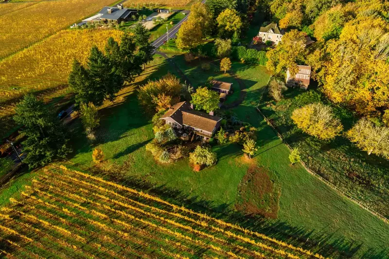 It was private, remote and surrounded by vineyards.  -Lauren