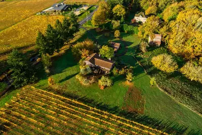 It was private, remote and surrounded by vineyards.  -Lauren