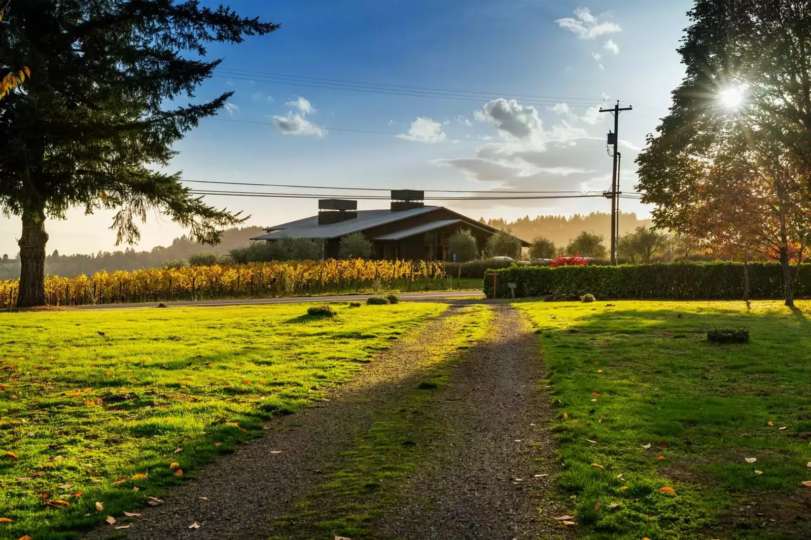 Beautiful home and gorgeous views! Perfect for a relaxing wine tasting getaway with friends.  -Emily