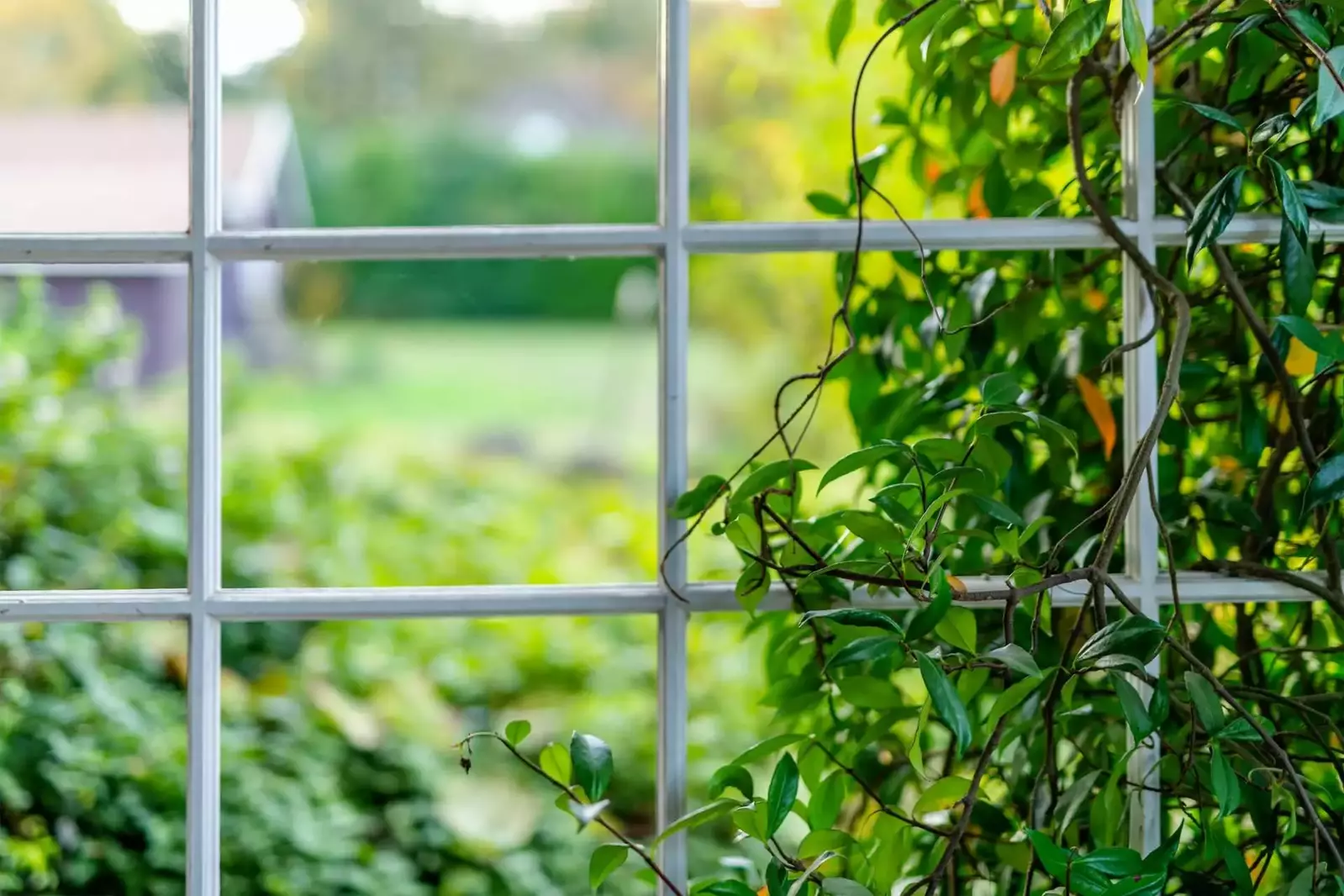 Super picturesque. We truly enjoyed our visit.  -Melissa