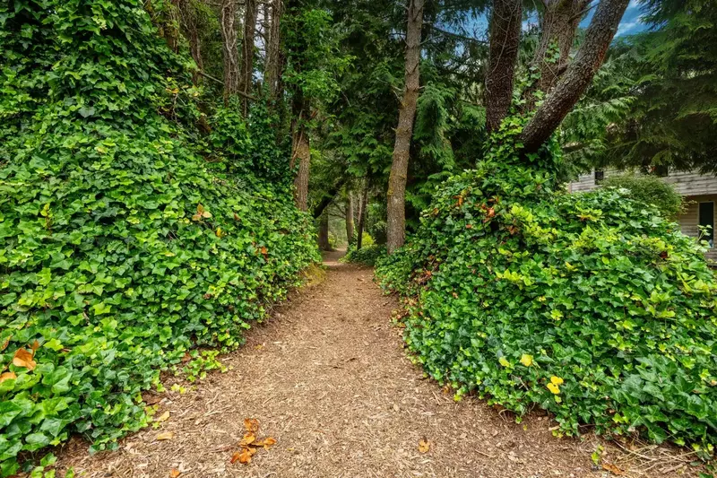 Shortcut path towards beach just down the road from the Saltwater Cottage