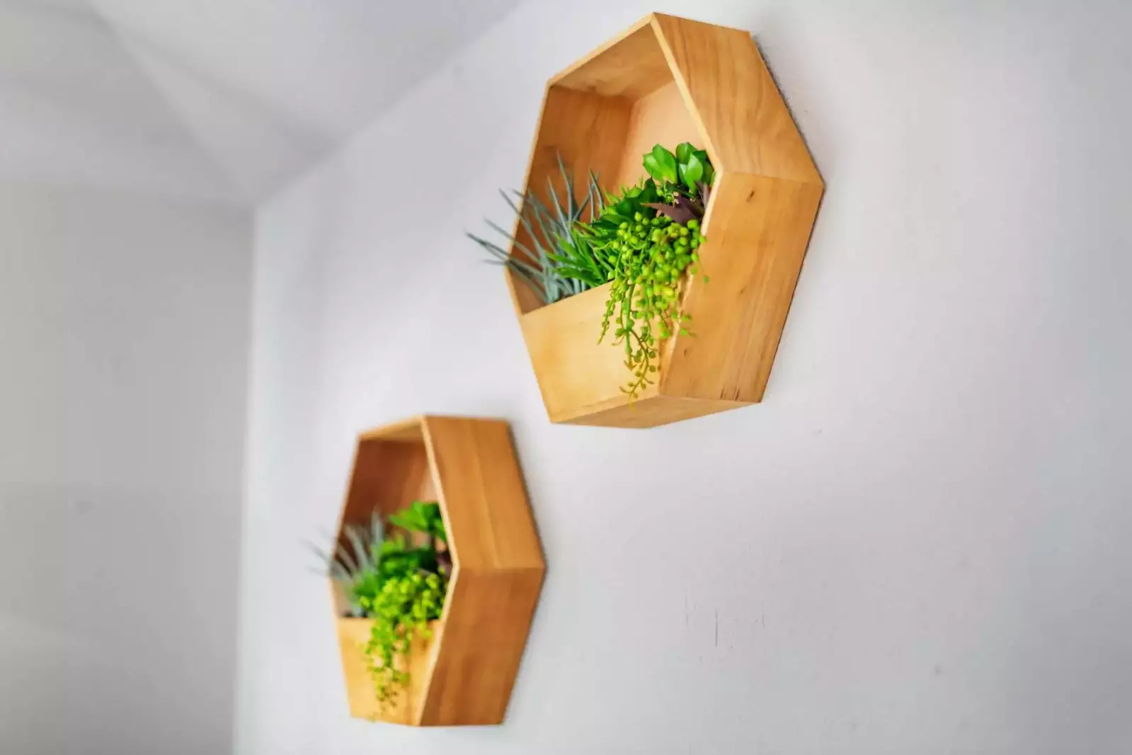 "This property was great. Comfortable, clean, cute Victorian. Nice, quiet neighborhood. We felt very safe there." - Rhonda