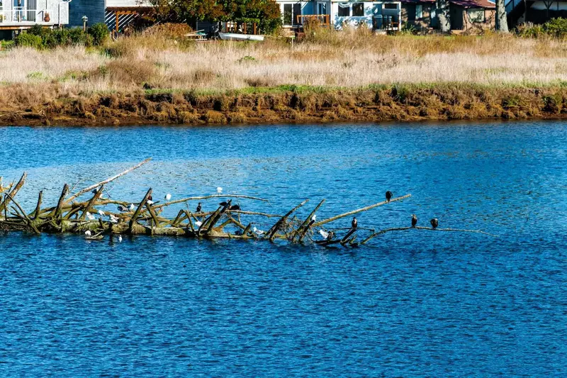 Nice, quite place with excellent backyard river view.  -Gregory