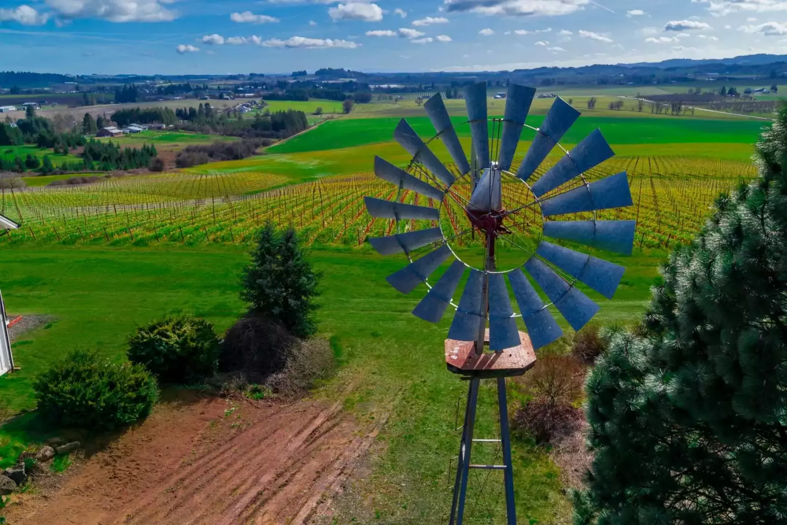 The Willamette Valley is famous for excellent wine. Feel free to reach out to us and we will tell you all about our favorite vineyards and wineries.