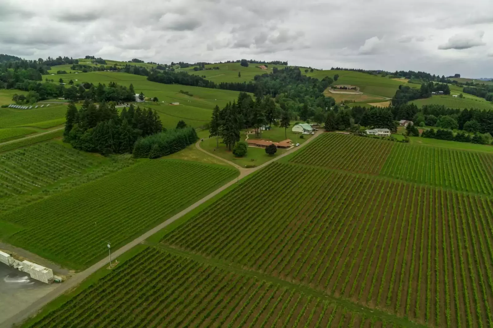 This property is on a large tract of land on a gentle hill overlooking the valley, and it's basically surrounded by vineyards.  -Steve