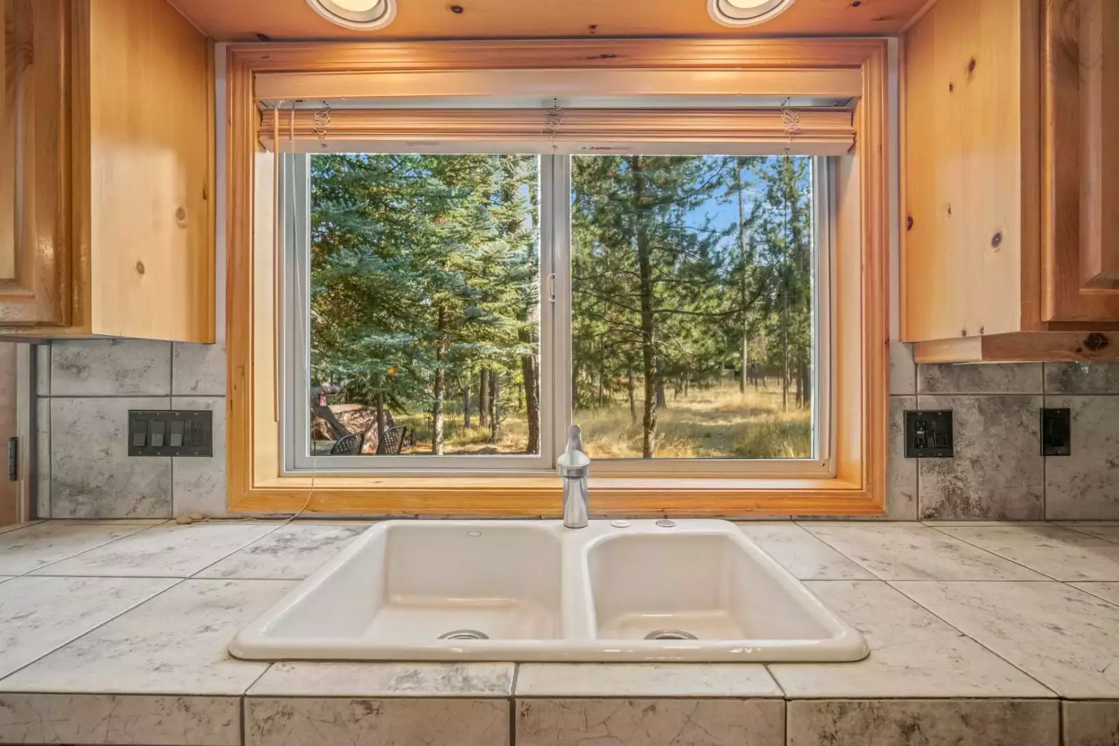 A serene view of towering pines and gentle meadows just beyond the glass, a peaceful retreat from the world’s hustle.