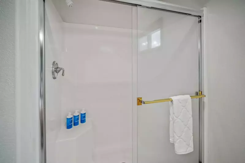 Primary suite bathroom shower