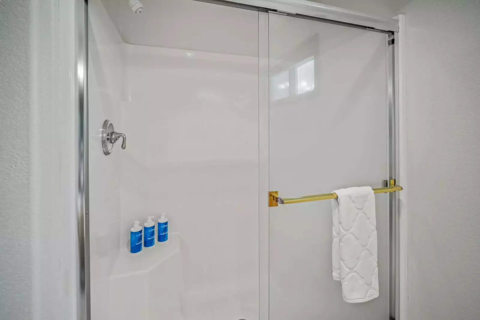 Primary suite bathroom shower