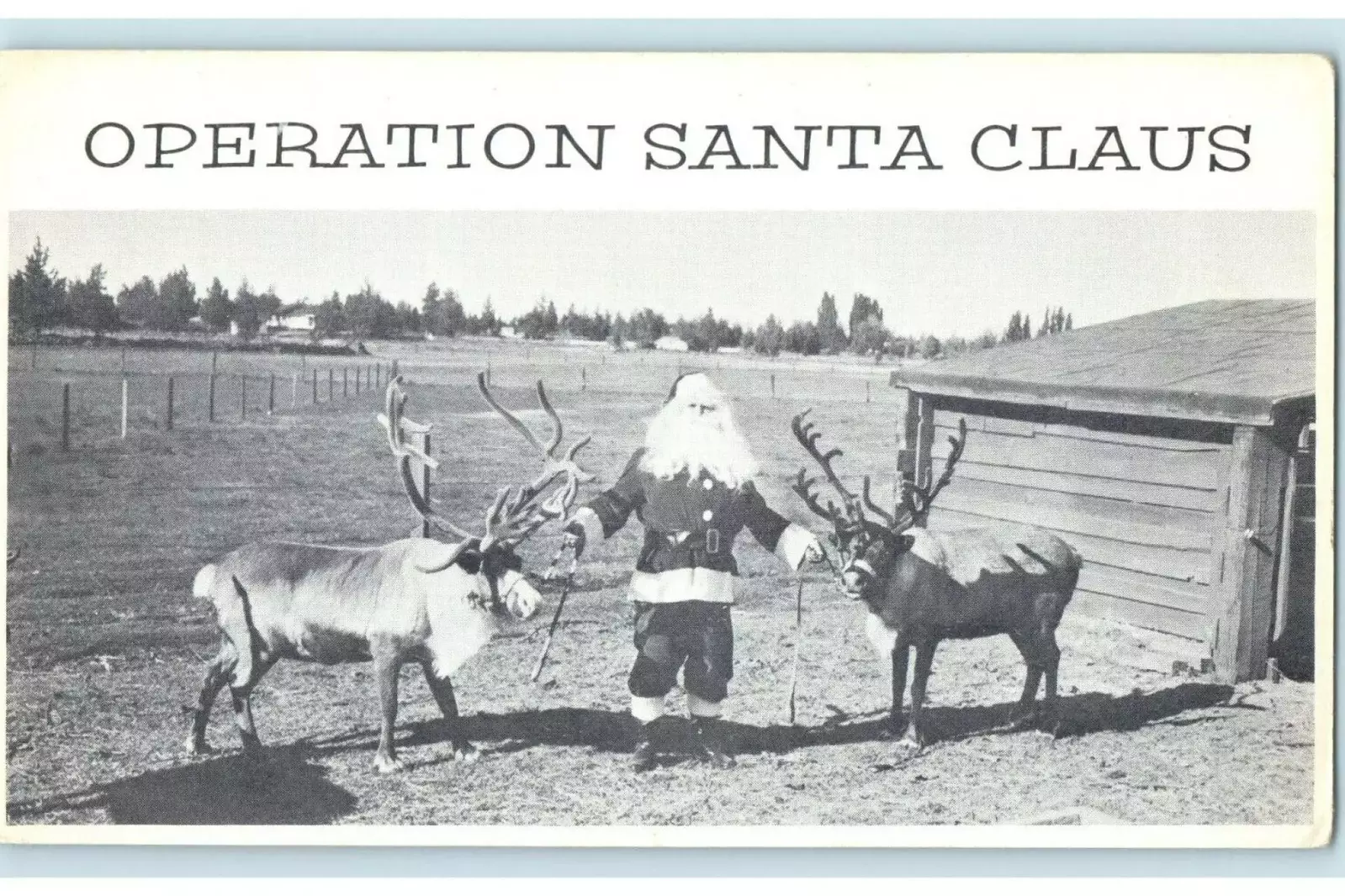 The Old Reindeer Ranch