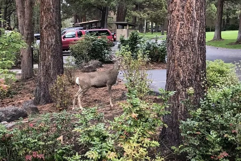 Enjoy your morning coffee with the neighbors.