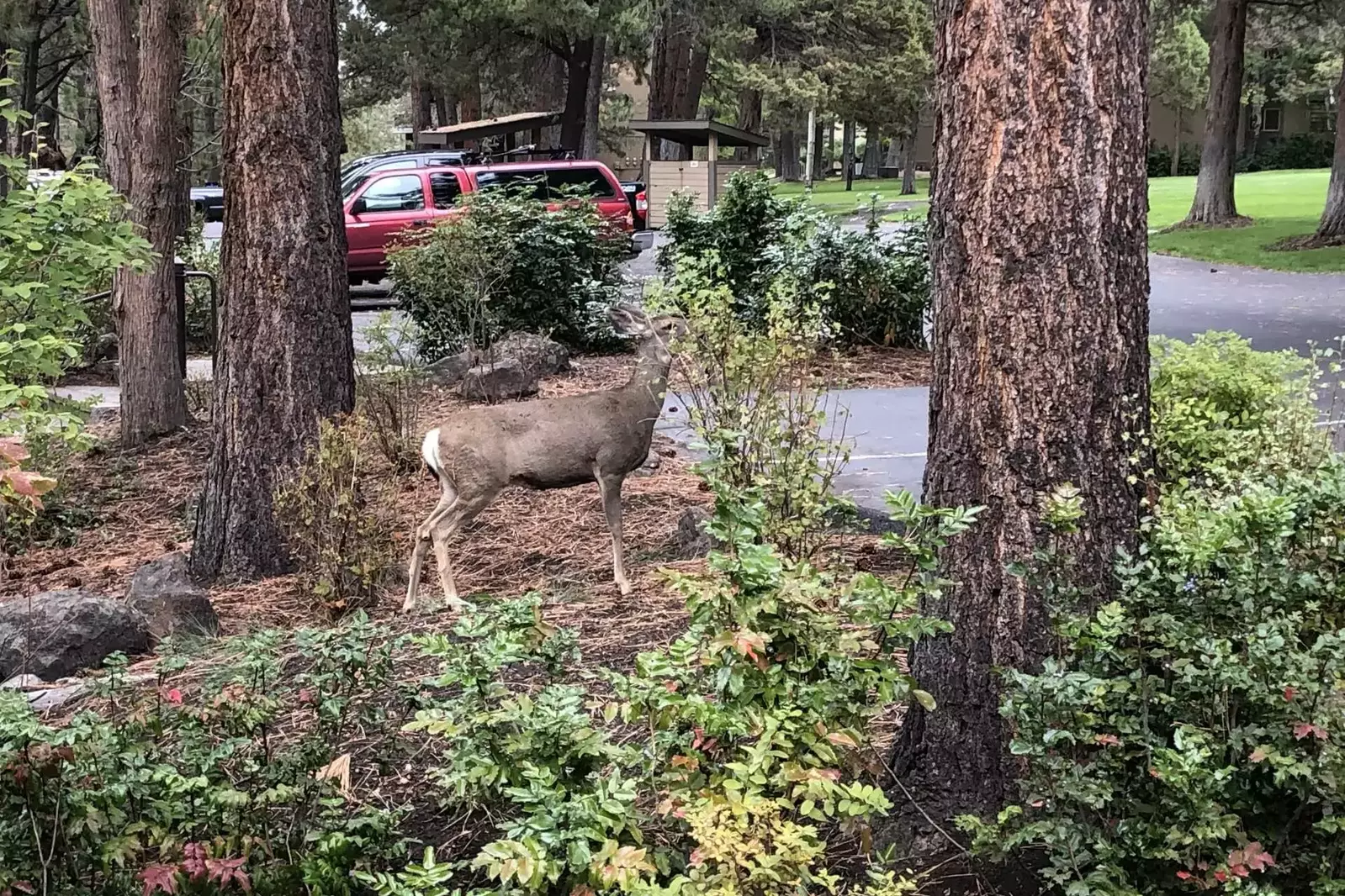 Enjoy your morning coffee with the neighbors.
