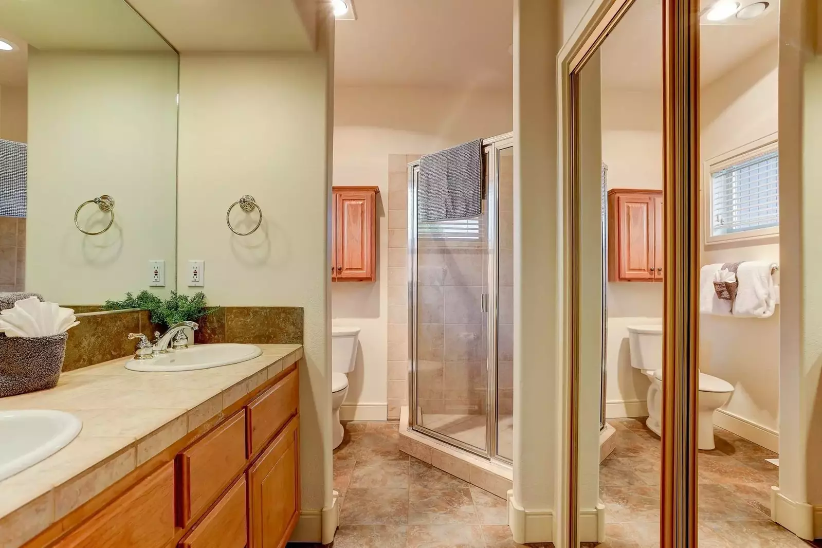 Ensuite bathroom with walk-in shower