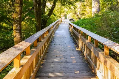 cedar preserve in rockaway beach